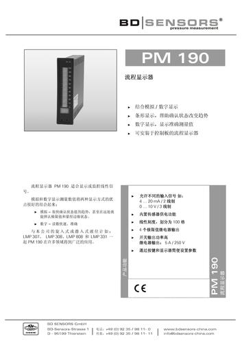 德国BD SENSORS 流程显示器PM190产品说明