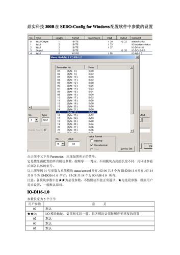 鼎实科技300B在SEDO-Config forWindows配置软件中参数的设置