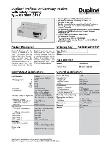 GS38910125配有安全映射的Profibus-DP网关