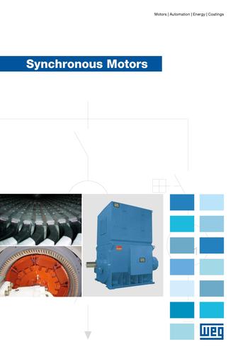 WEG Synchronous motor