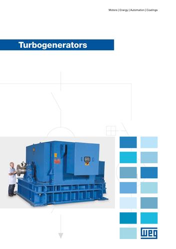 WEG Turbogenerator