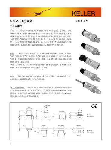 Keller 21Y经济型压力变送器