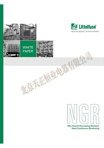力特 为何需要监测中性点接地电阻（英文）