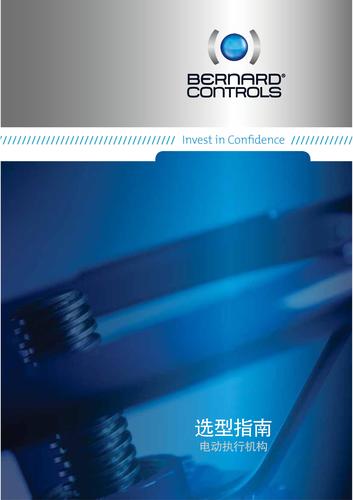 BERNARD CONTROLS选型指南