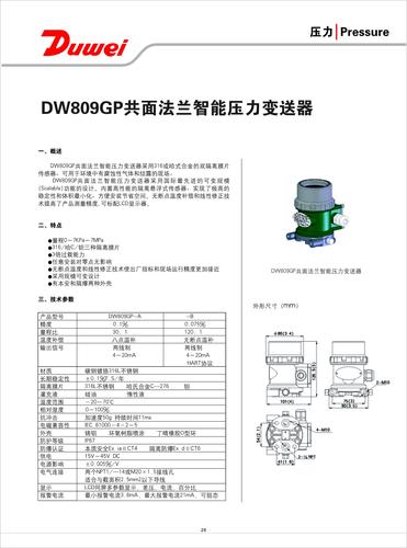 杜威仪表 DW809GP 共面法兰智能压力变送器  说明书