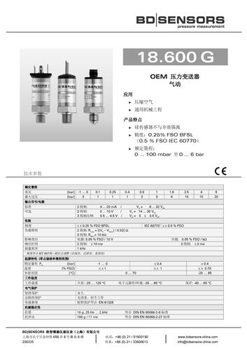 德国BD SENSORS 经济型压力变送器 18.600G 产品样本
