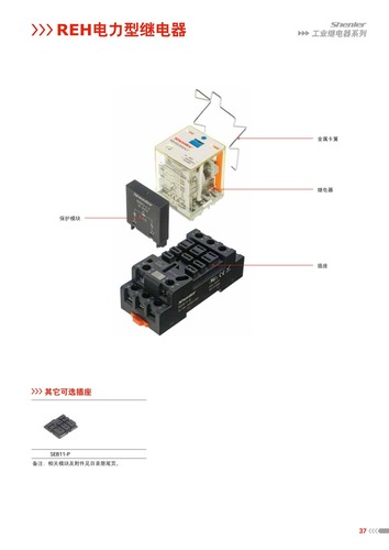 REH电力型继电器.pdf